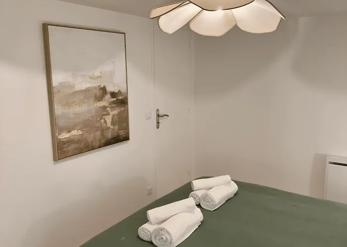 La Parenthèse Maisonneuve Appartement Troyes